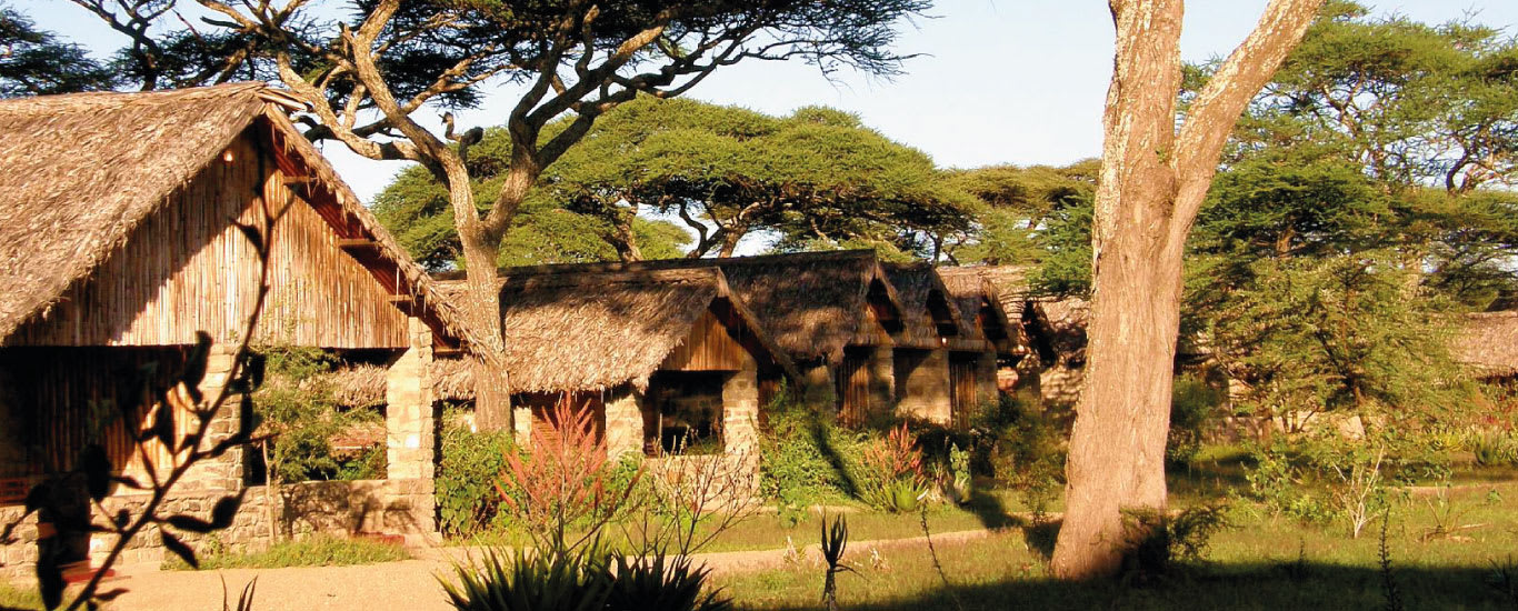 Kon Tiki Ndutu Camp