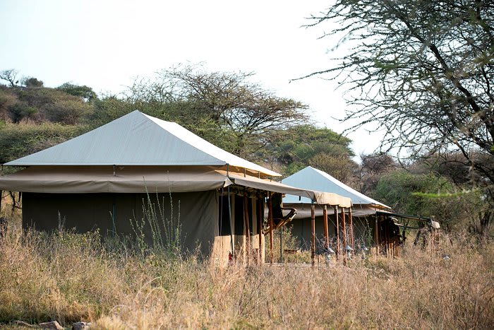 Serengeti Pure Tented Camp