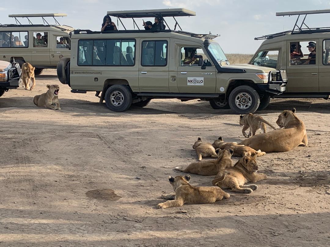 5-Day Tarangire, Serengeti 2Nights, Ngorongoro & Manyara