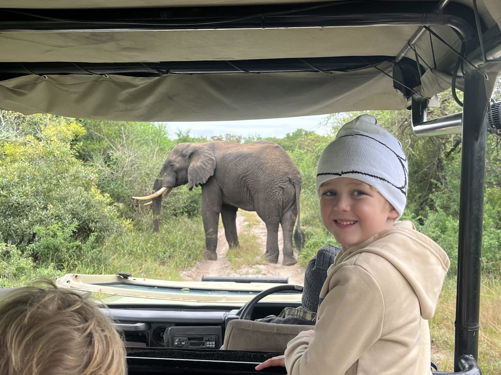 4-Day Incredible Safari Inside the Kruger National Park