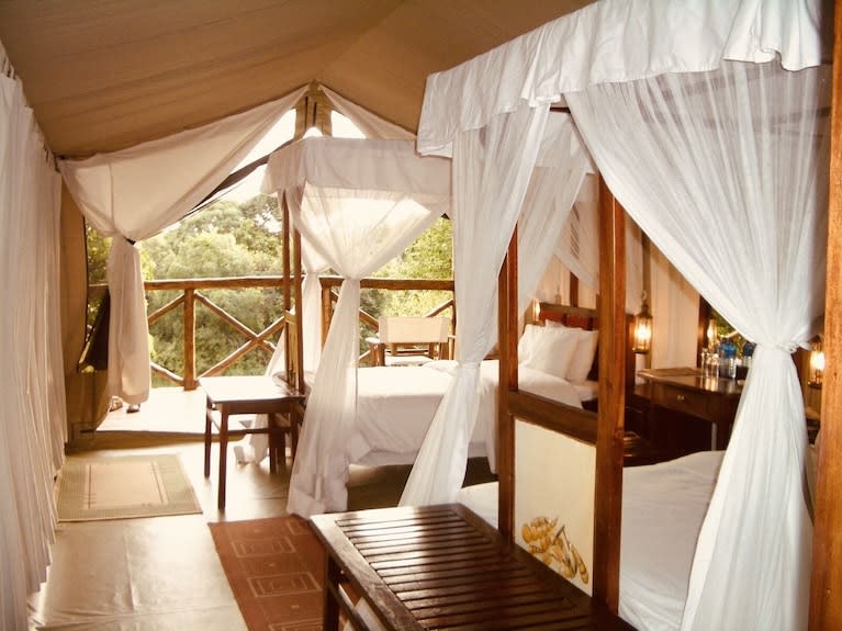 Fig Tree Camp
