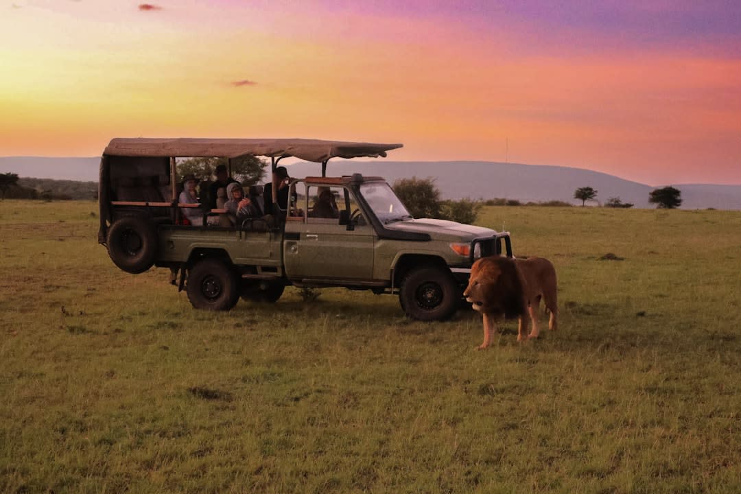 Reviews of popular Kenyan safari tour operators
