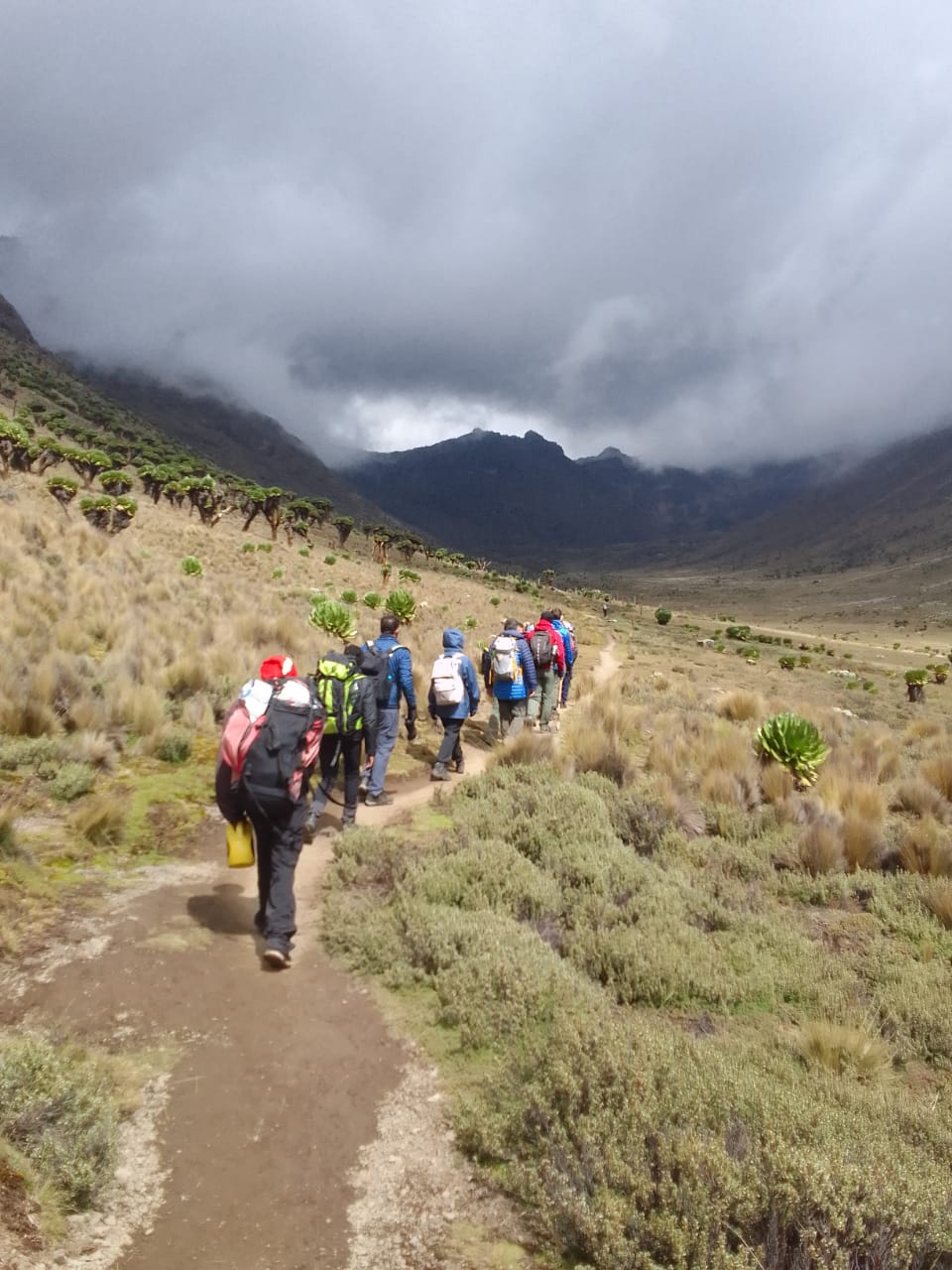 4-Day MOUNT KENYA HIKING: SIRIMONI-CHOGORIA