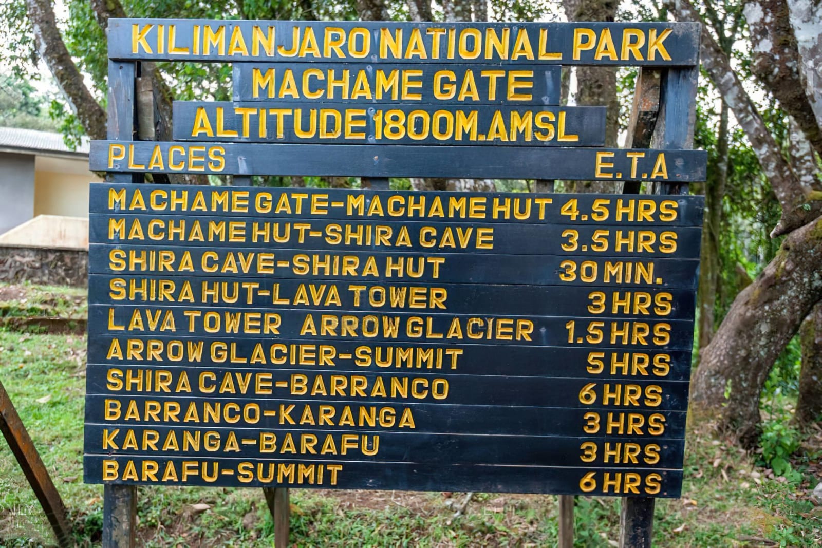 7-Day Kilimanjaro Climb – Machame Route (Whiskey Route • Scenic • Popular)