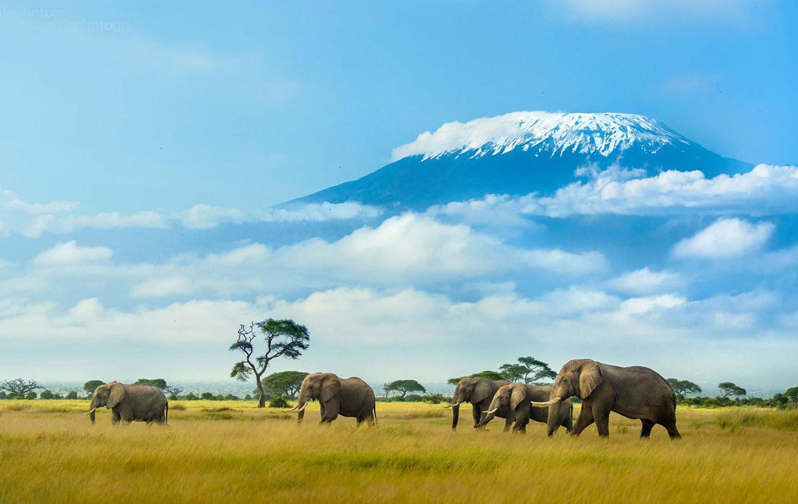 10-Day Kenya Wildlife Circuit