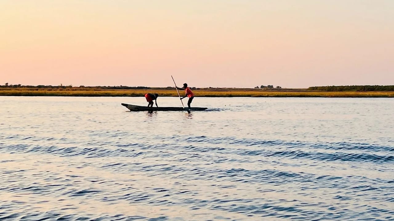 3天 Chobe National Park 露营 safari
