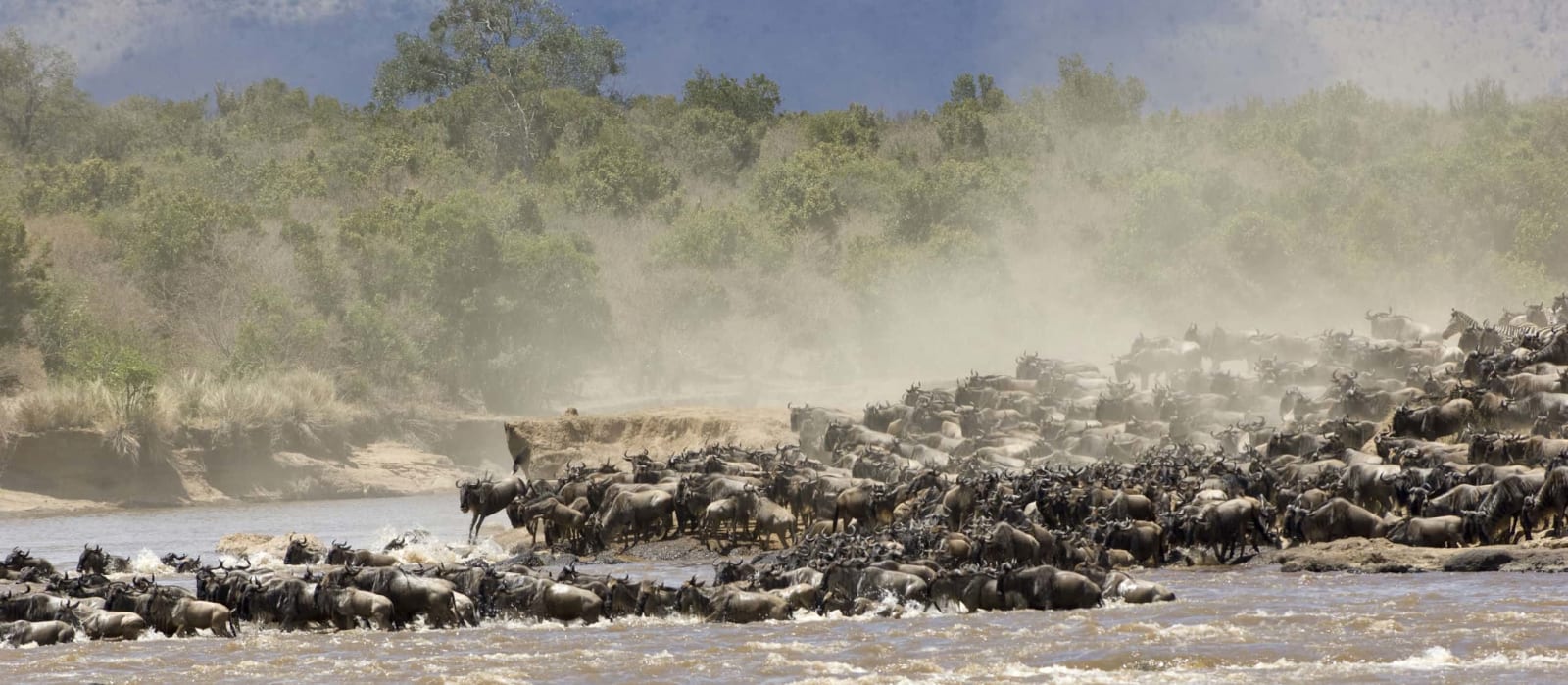 3-Day Big five & beyond adventure private safari