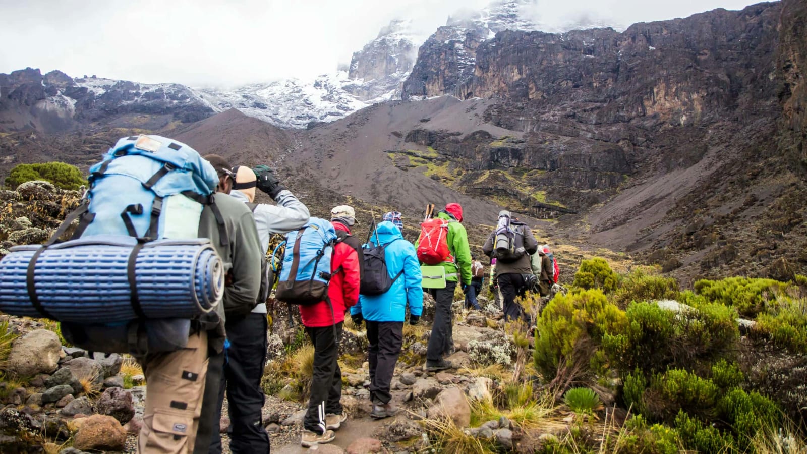 9-Day Kilimanjaro expedition Lemosho route