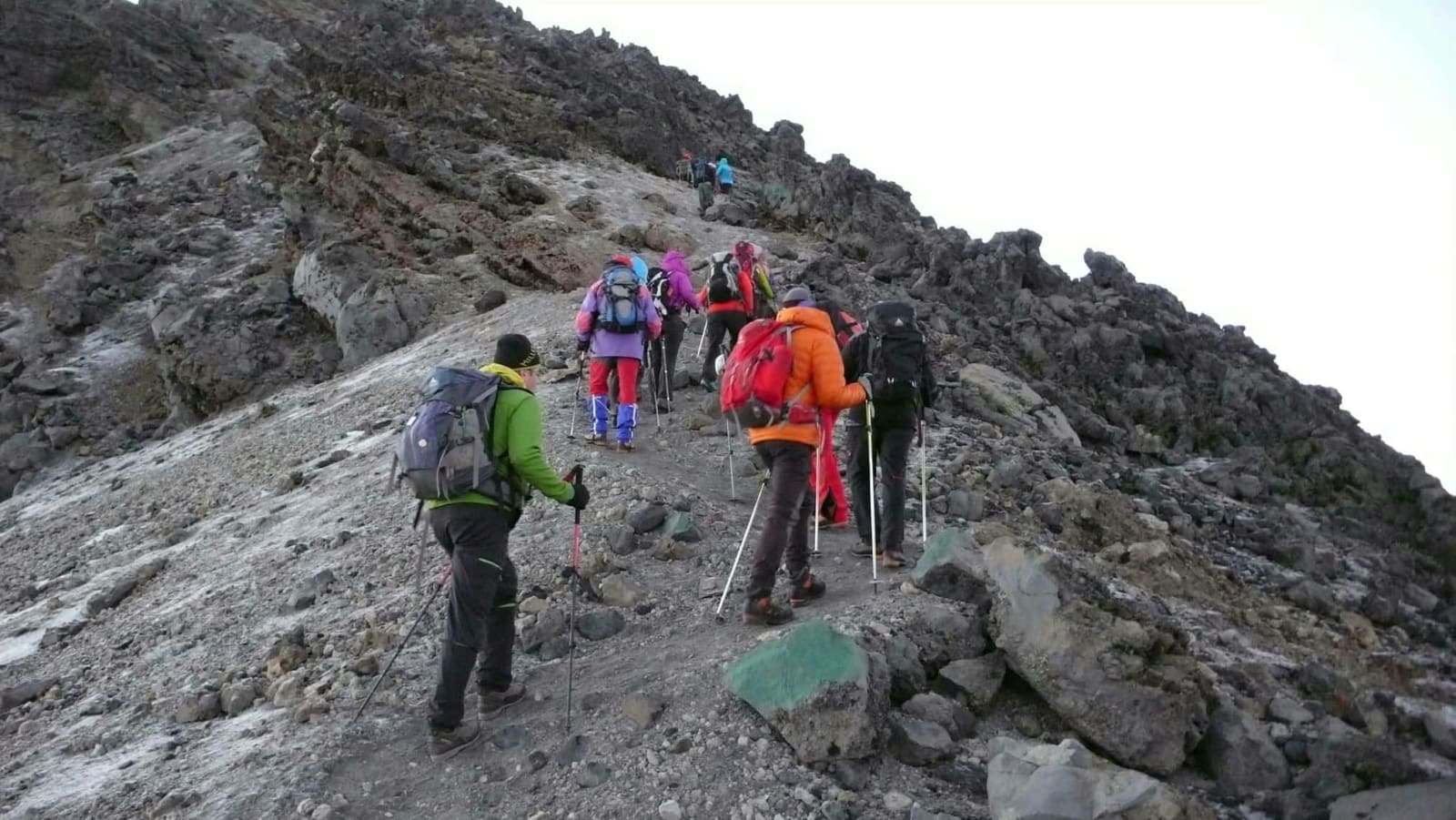 7-Day Kilimanjaro hike through Lemosho route