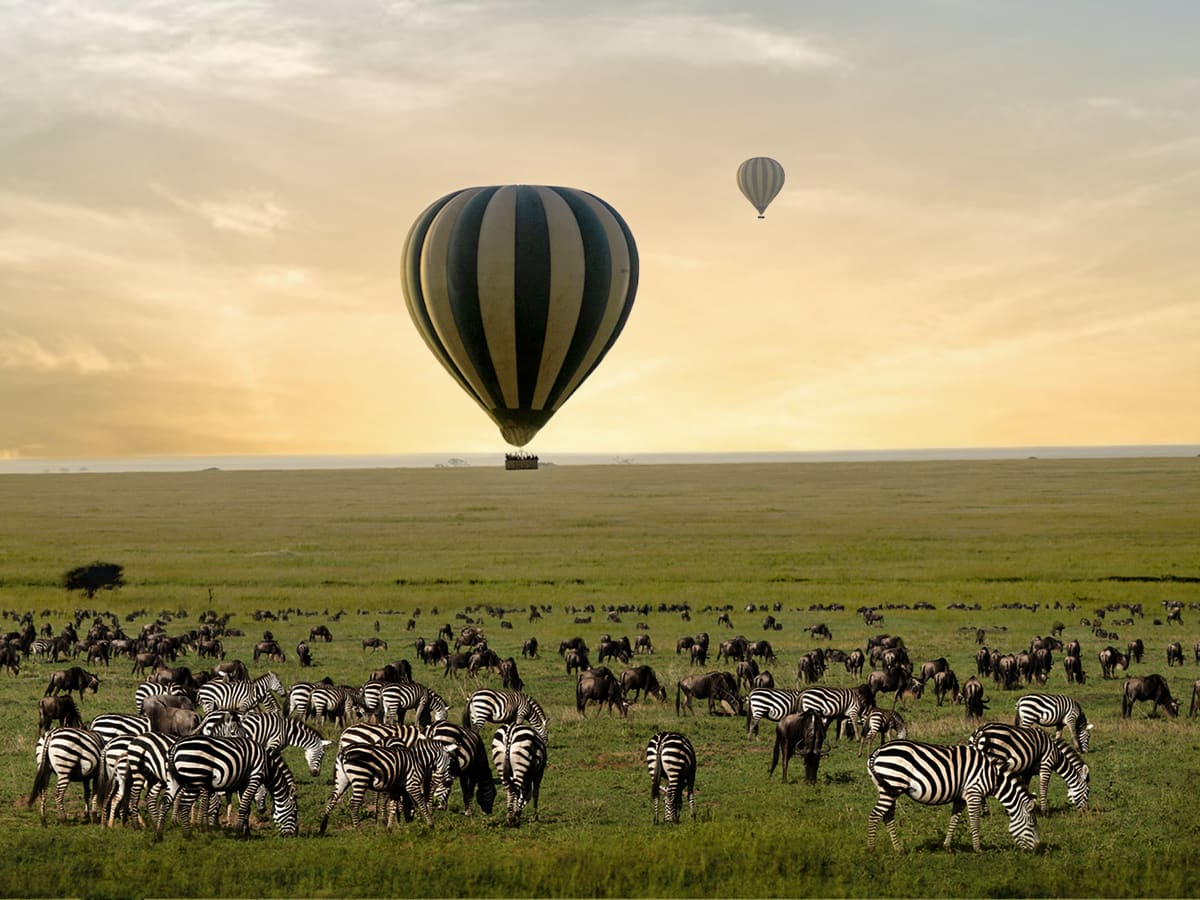 4-Day Tanzania Safari – Serengeti & Ngorongoro (with Hot Air Balloon Experience)