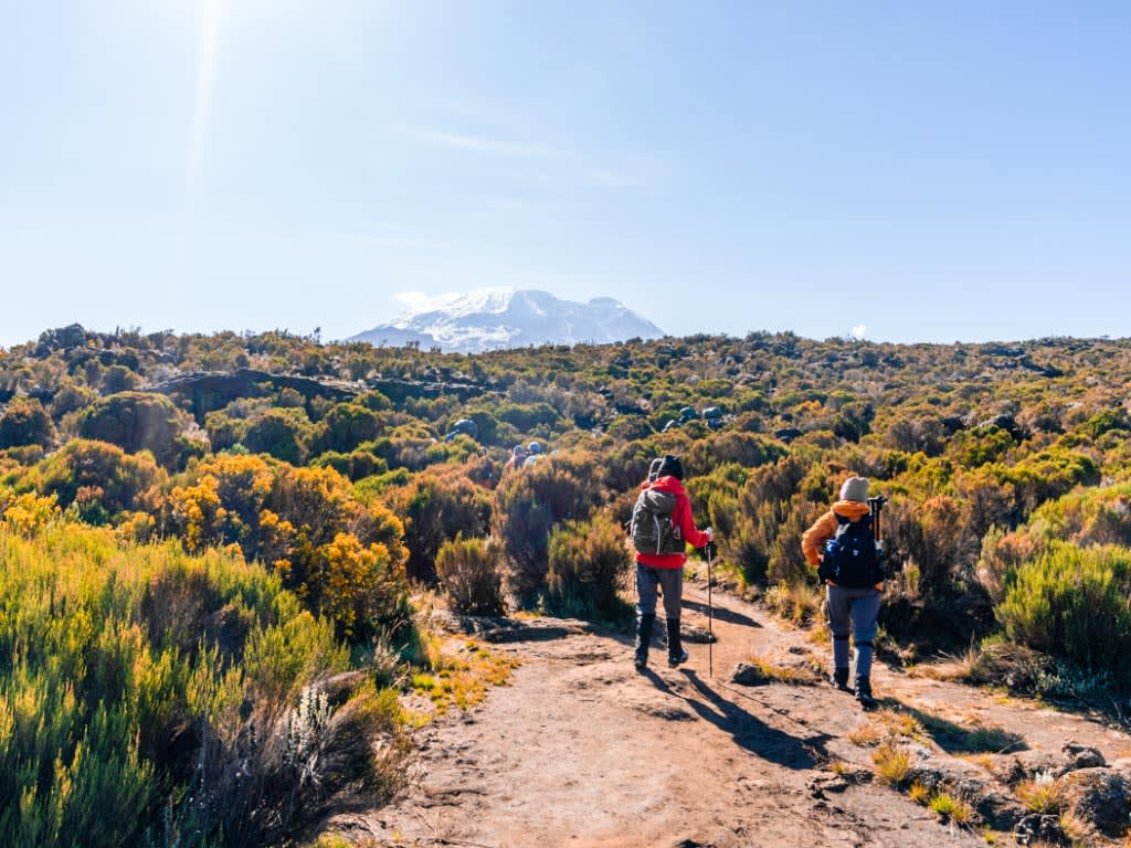 9-Day Northern Circuit Route Trek – Kilimanjaro Climb