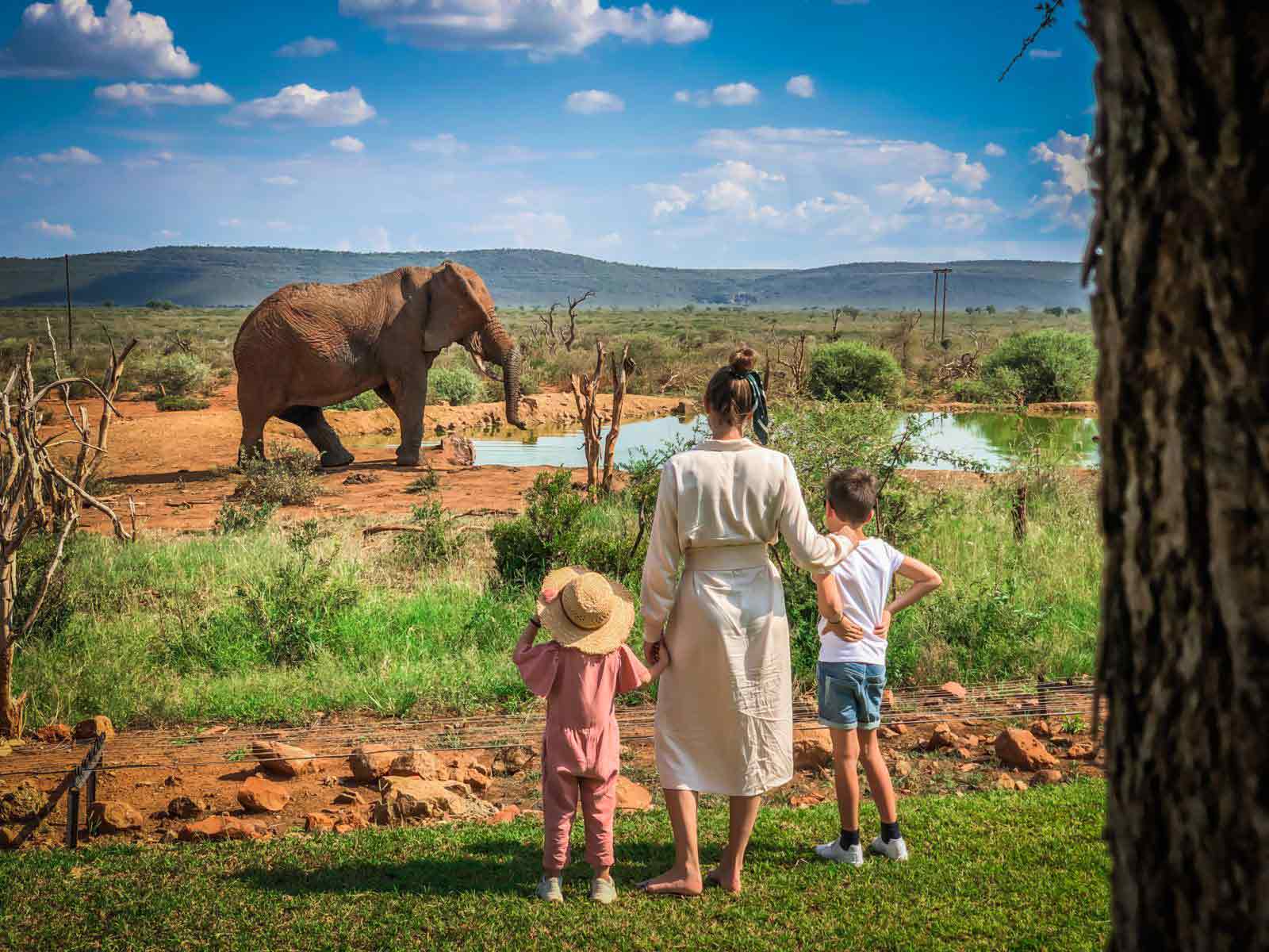 7-Day Family Safari Tanzania