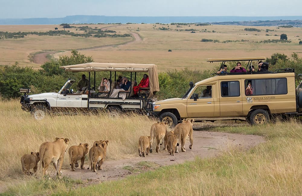 7-Day Ultimate Tanzania Northern Circuit Safari
