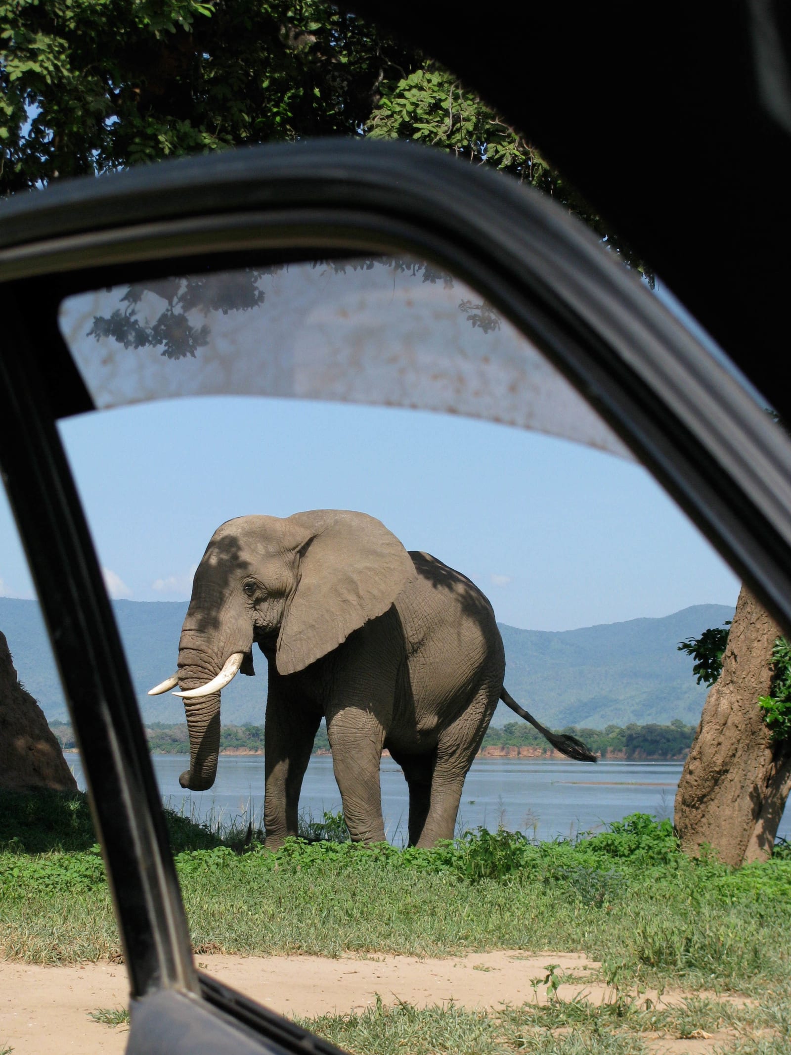 6-Day Luxury Safari from Arusha