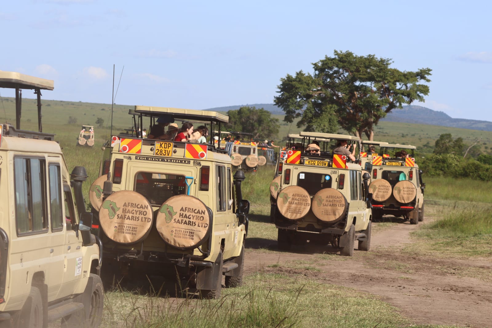 7-Day Amboseli NP, L Naivasha & Masai Mara Budget Tour