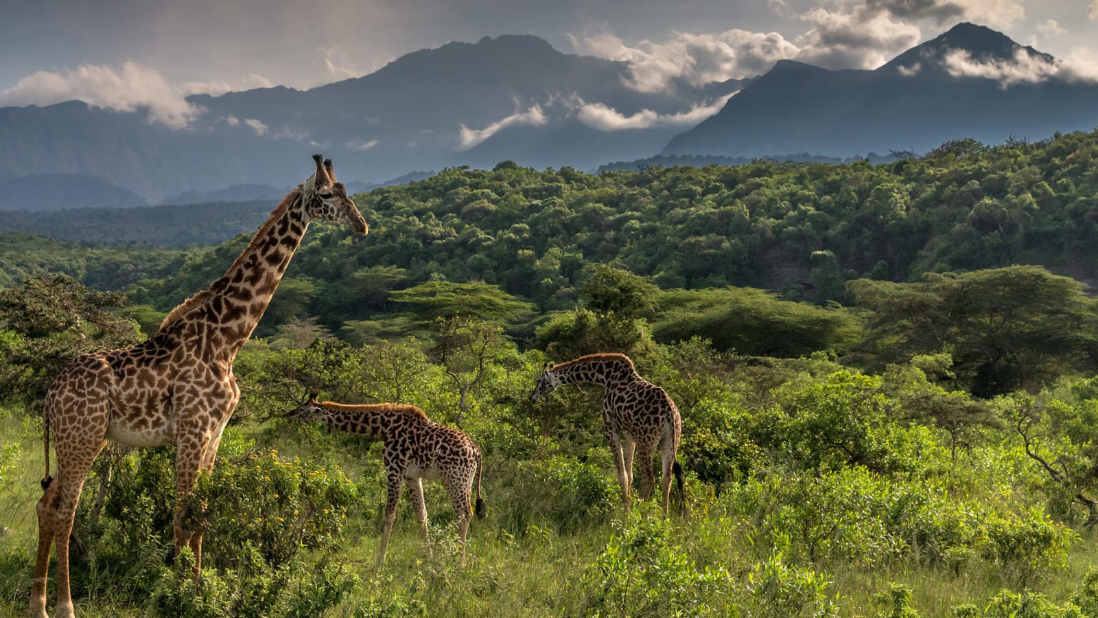 Arusha Airport