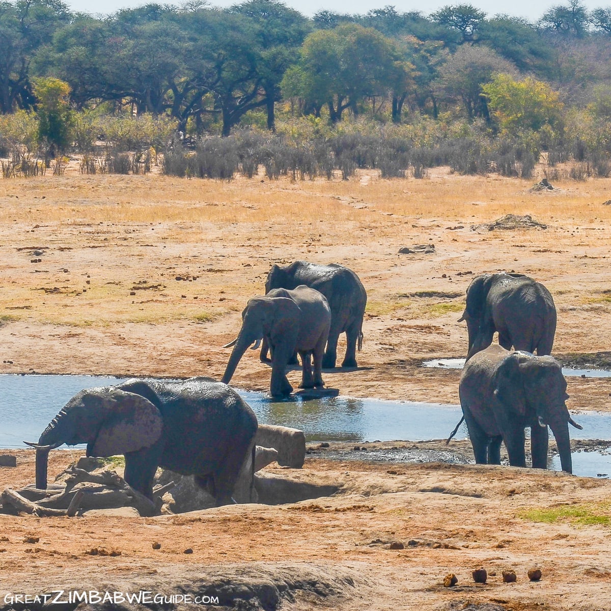 Hwange National Park
