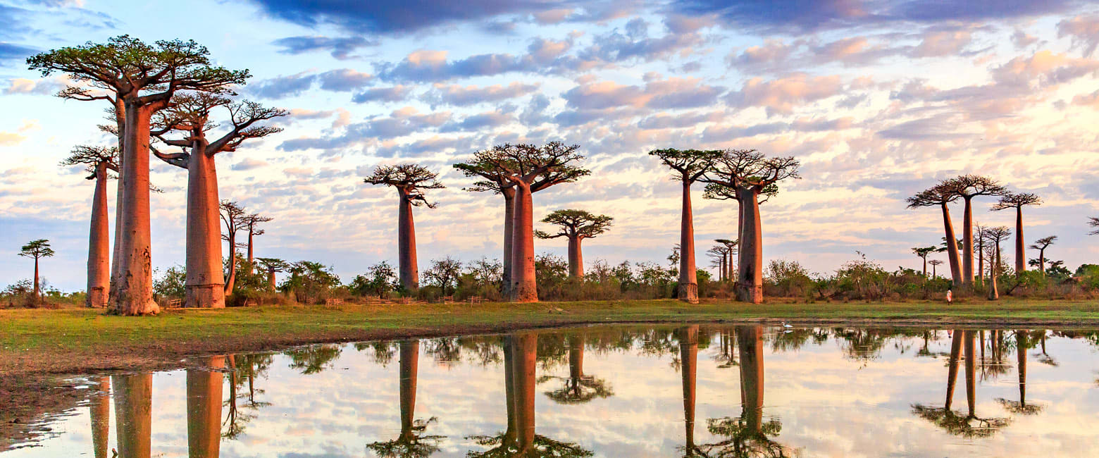 Morondava