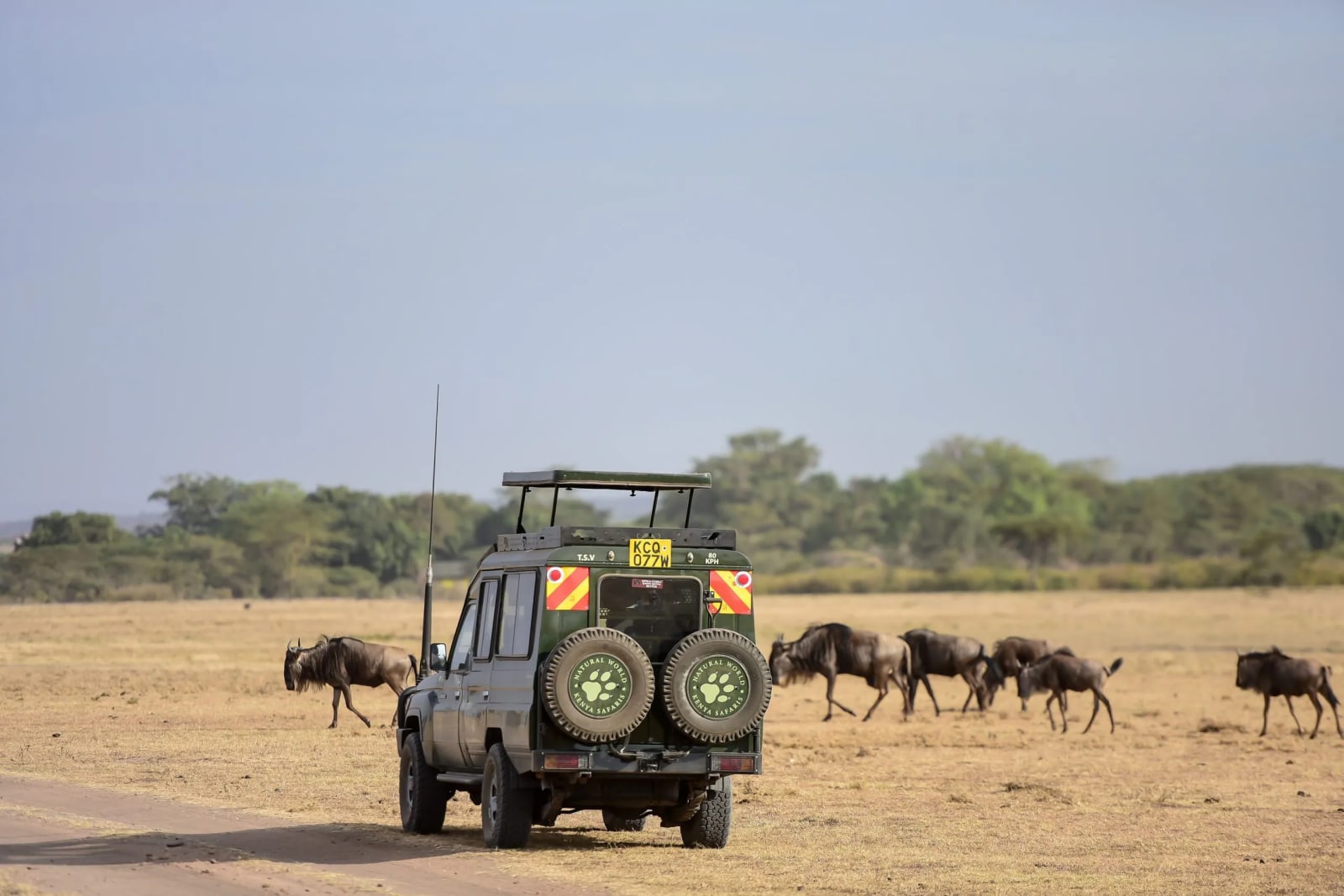 National Museum of Kenya