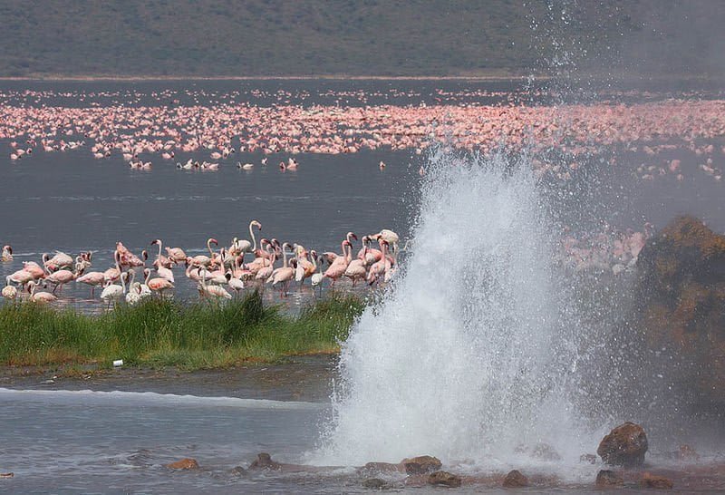 Lake Bogoria National Reserve