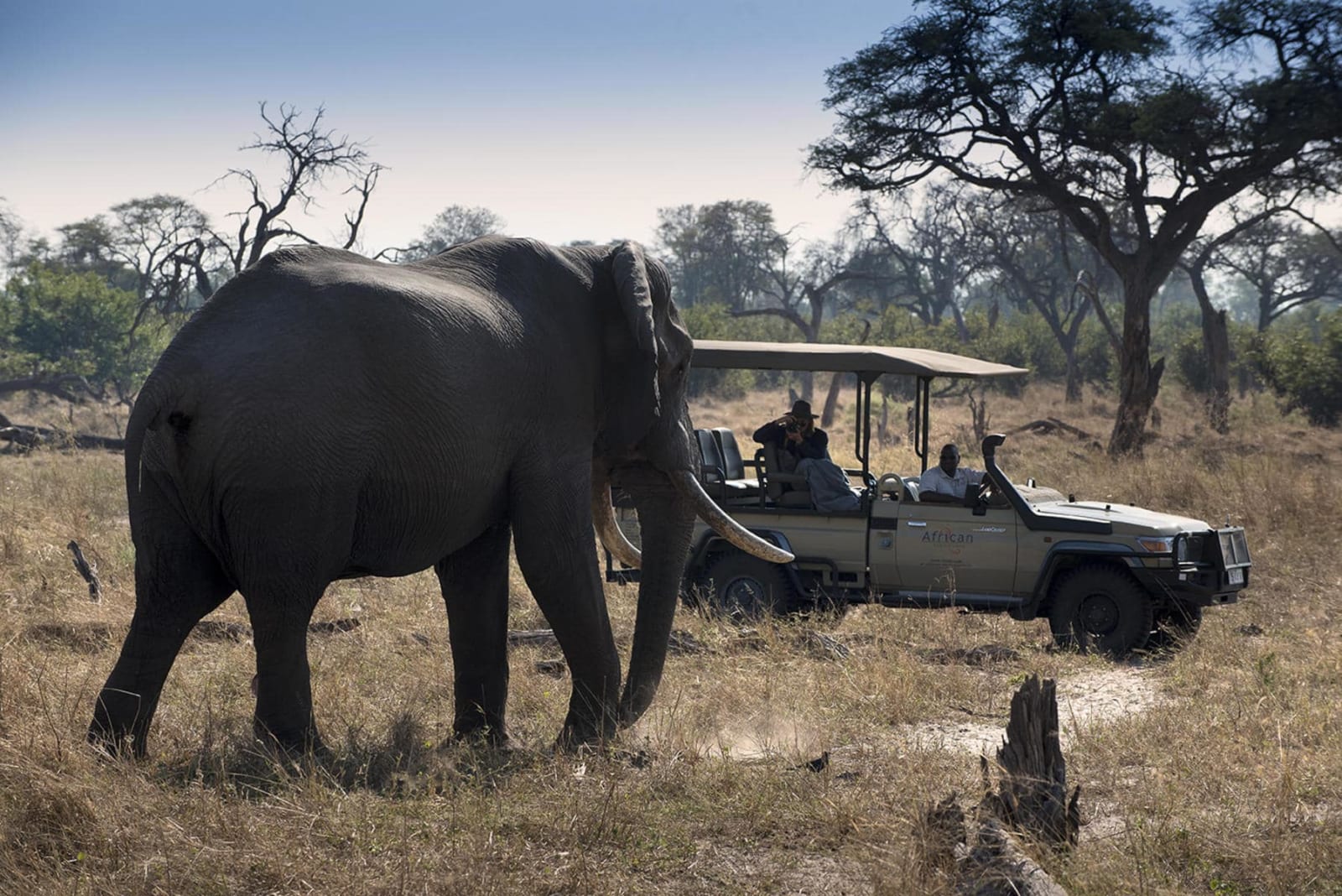 Ultimate Botswana Wildlife Explorer - 9 Days