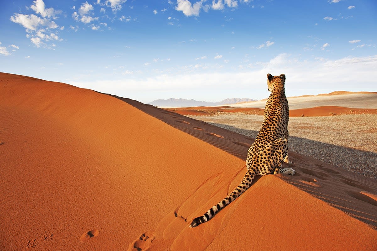 Namibia