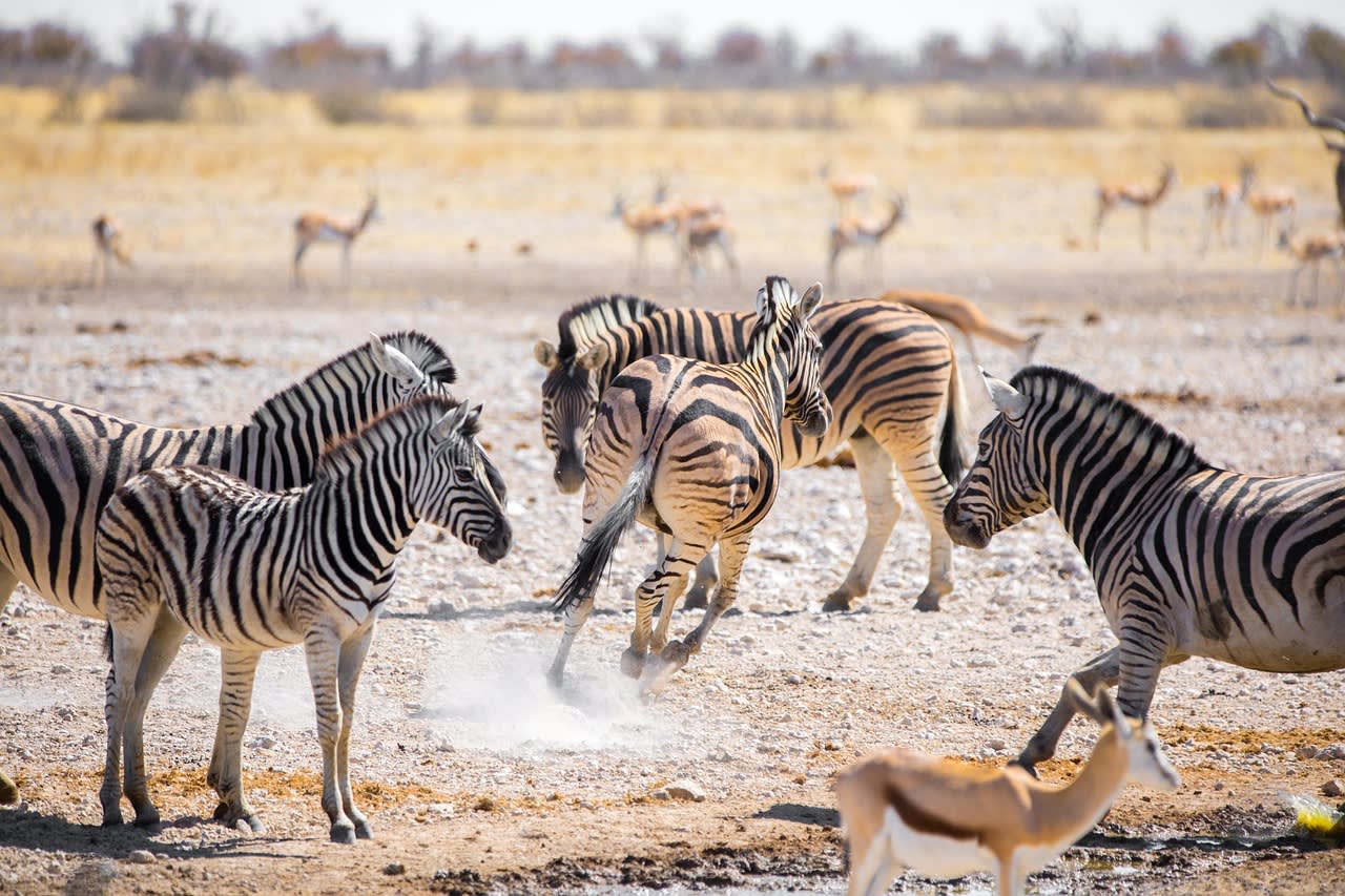 Katima Mulilo