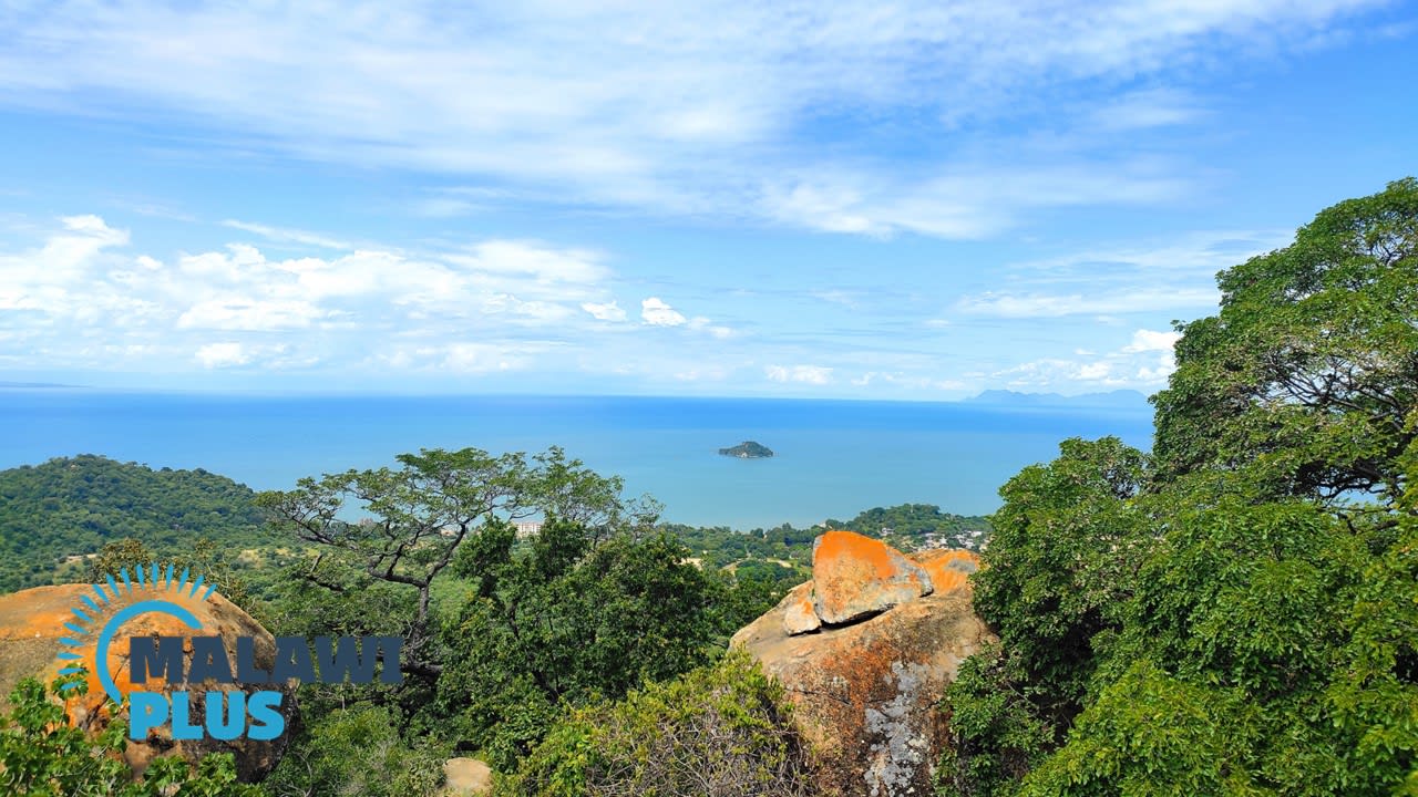 Senga Hills Forest Reserve