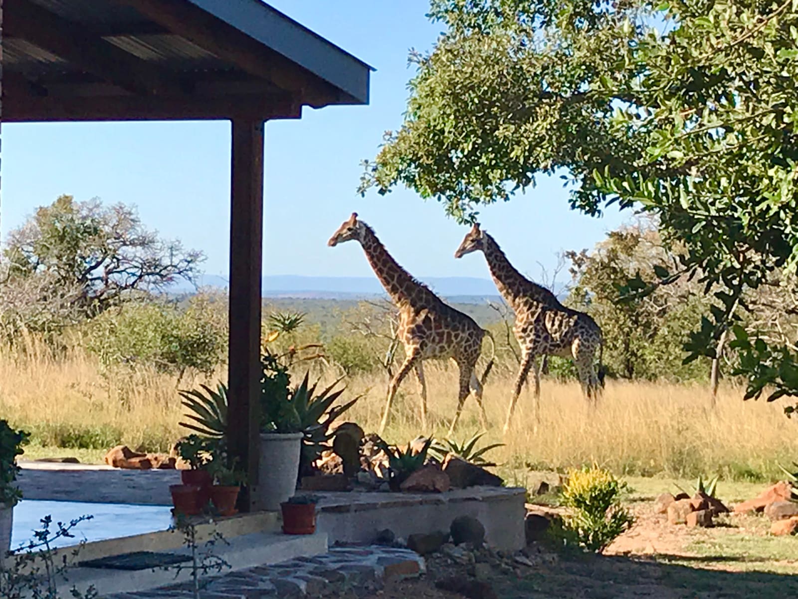 Dombeya Game Reserve