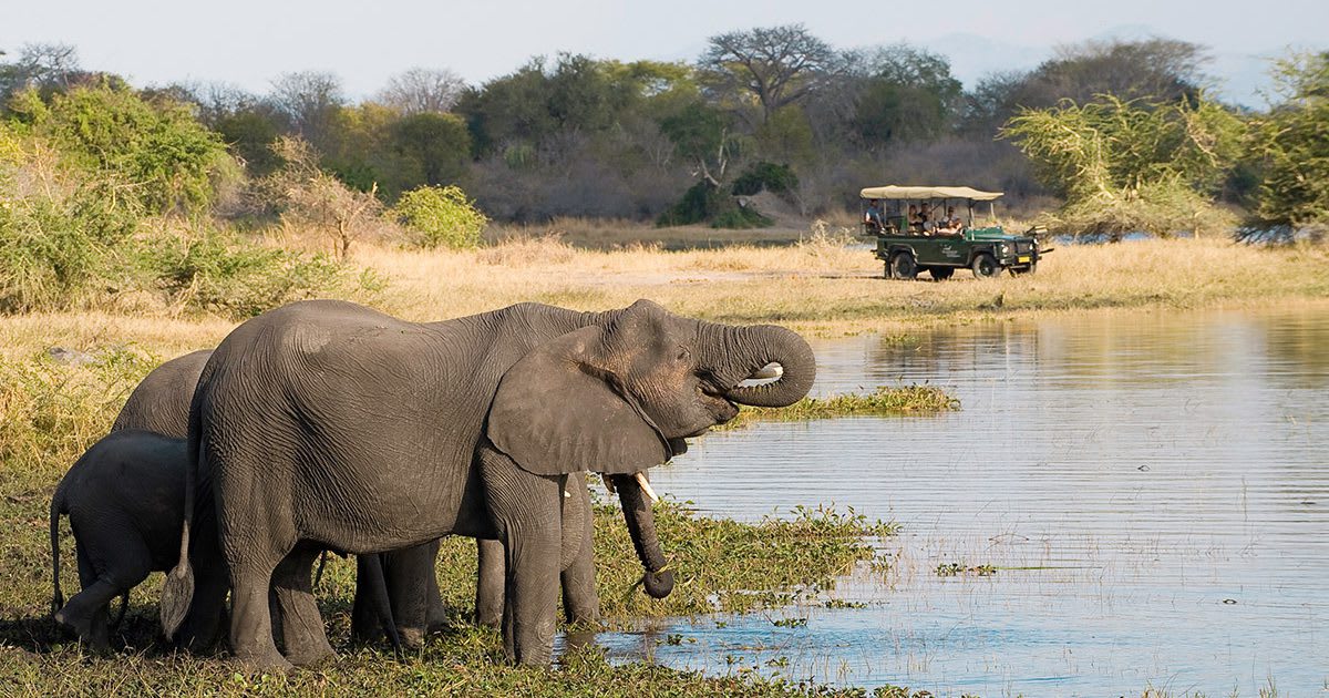 Liwonde National Park