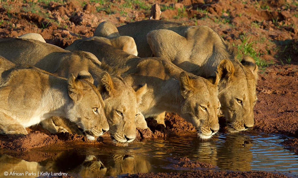 Matusadona National Park