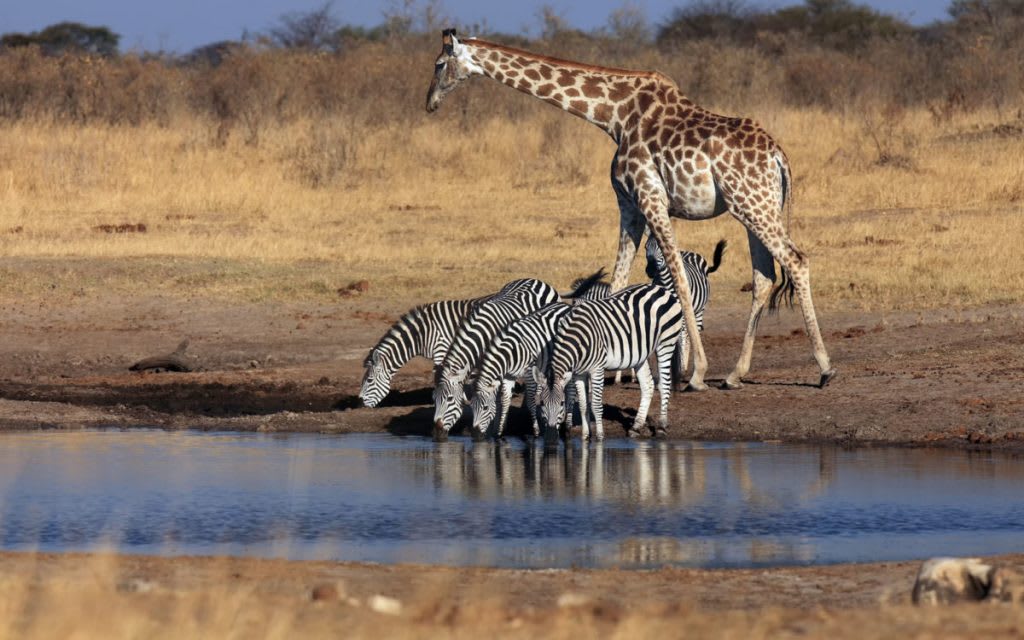 North Gonarezhou National Park