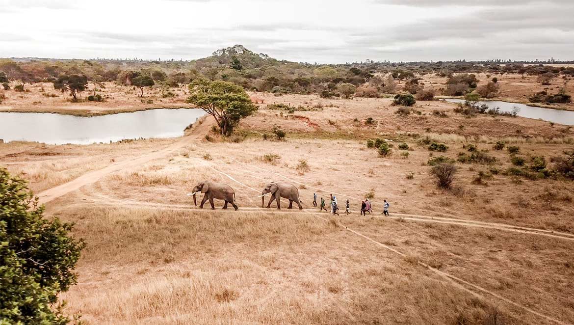 Imire Rhino & Wildlife Conservancy