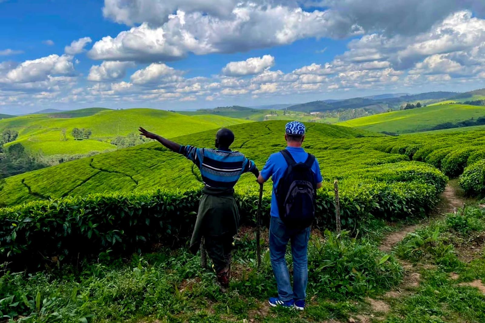 Teza Tea Plantations