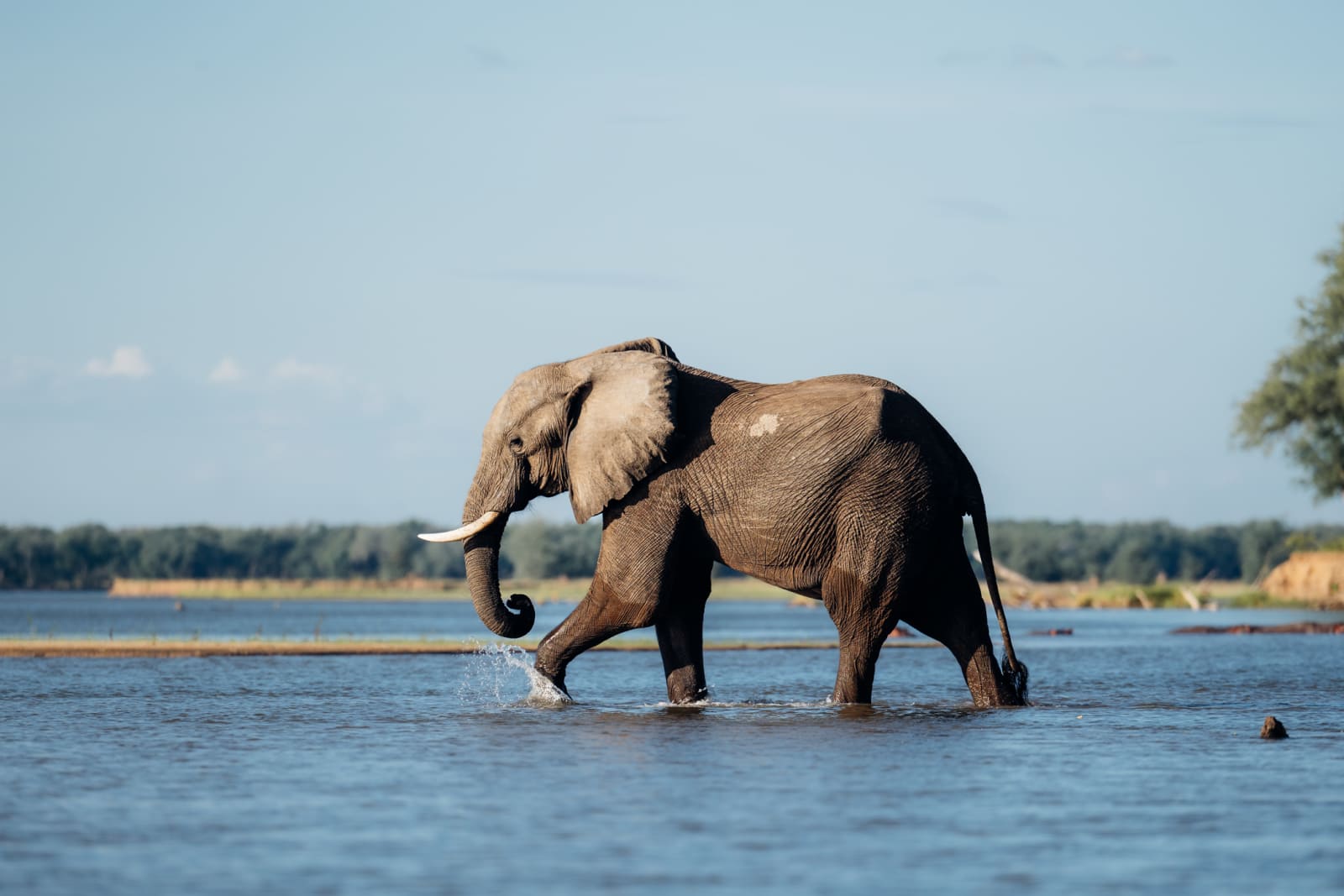 Zambezi River