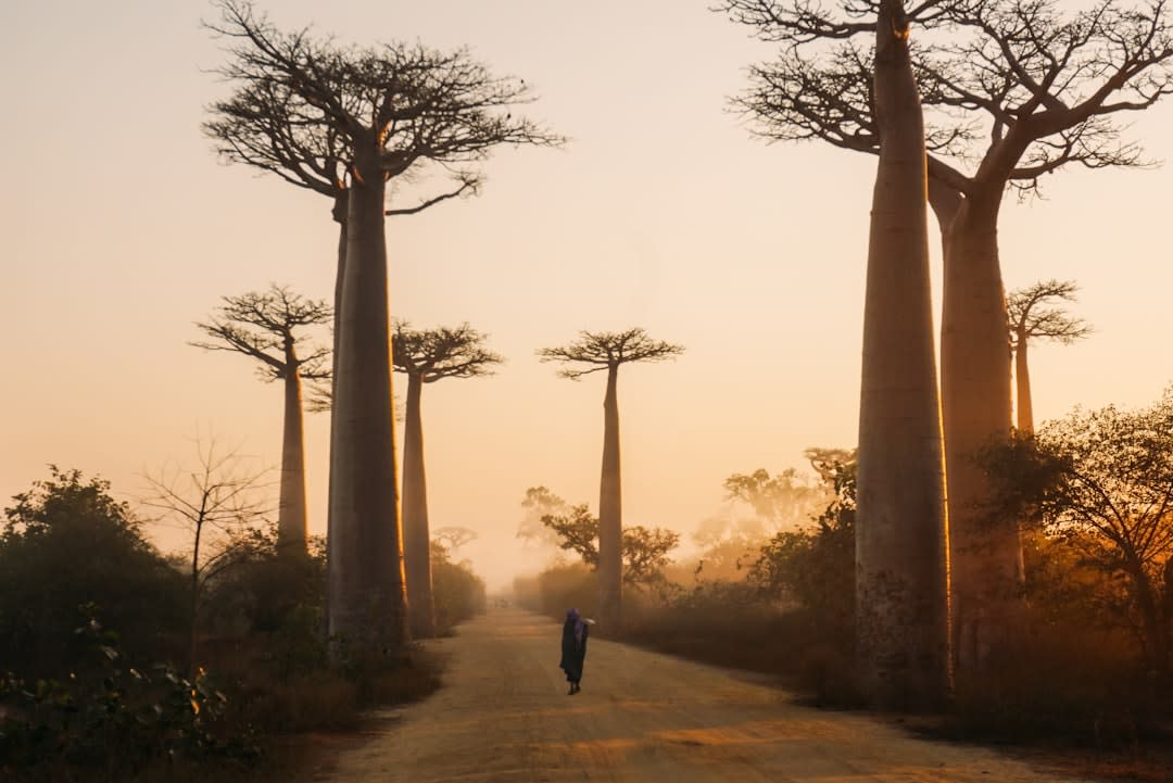 Madagascar Visa for French Citizens 2026