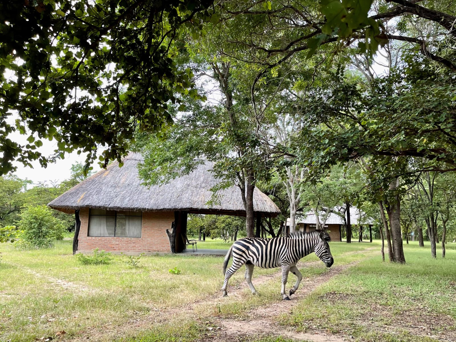 Kuti Wildlife Reserve