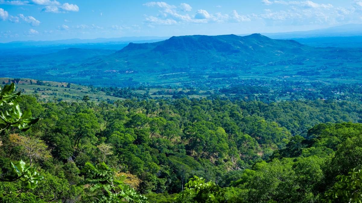 Mwabvi Wildlife Reserve