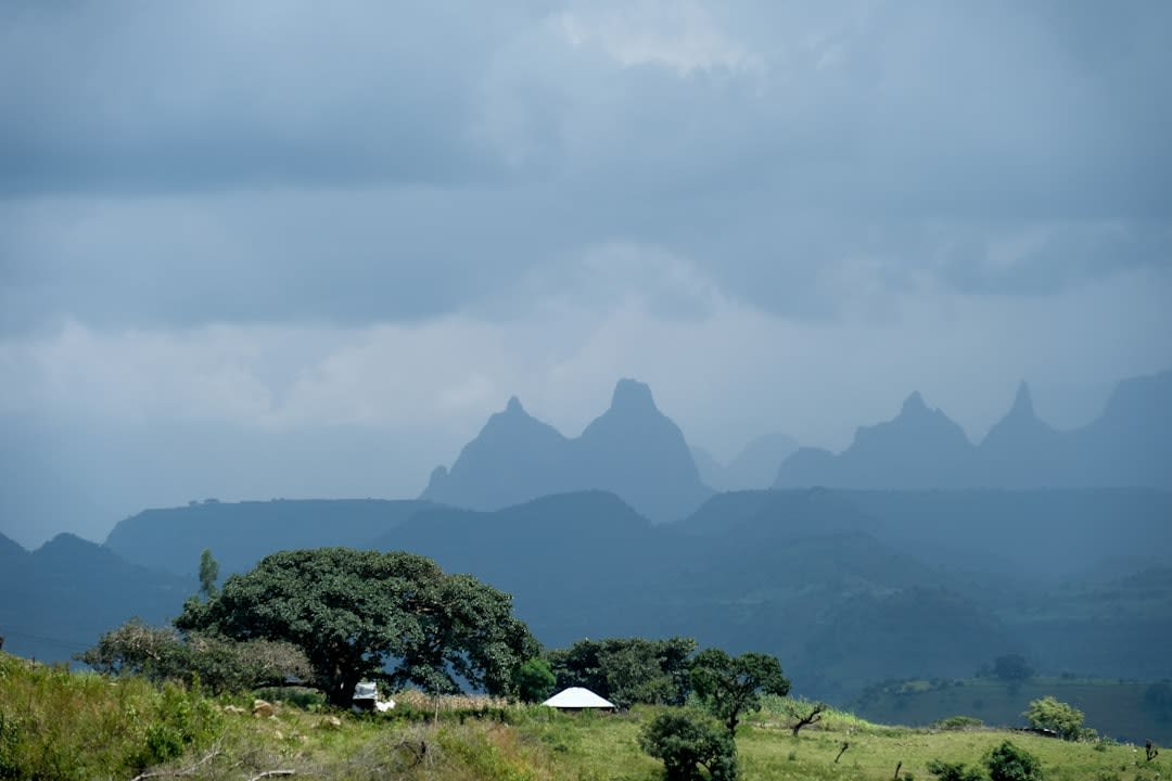 What Vaccinations Does Ethiopia Require for Canadians in 2026?