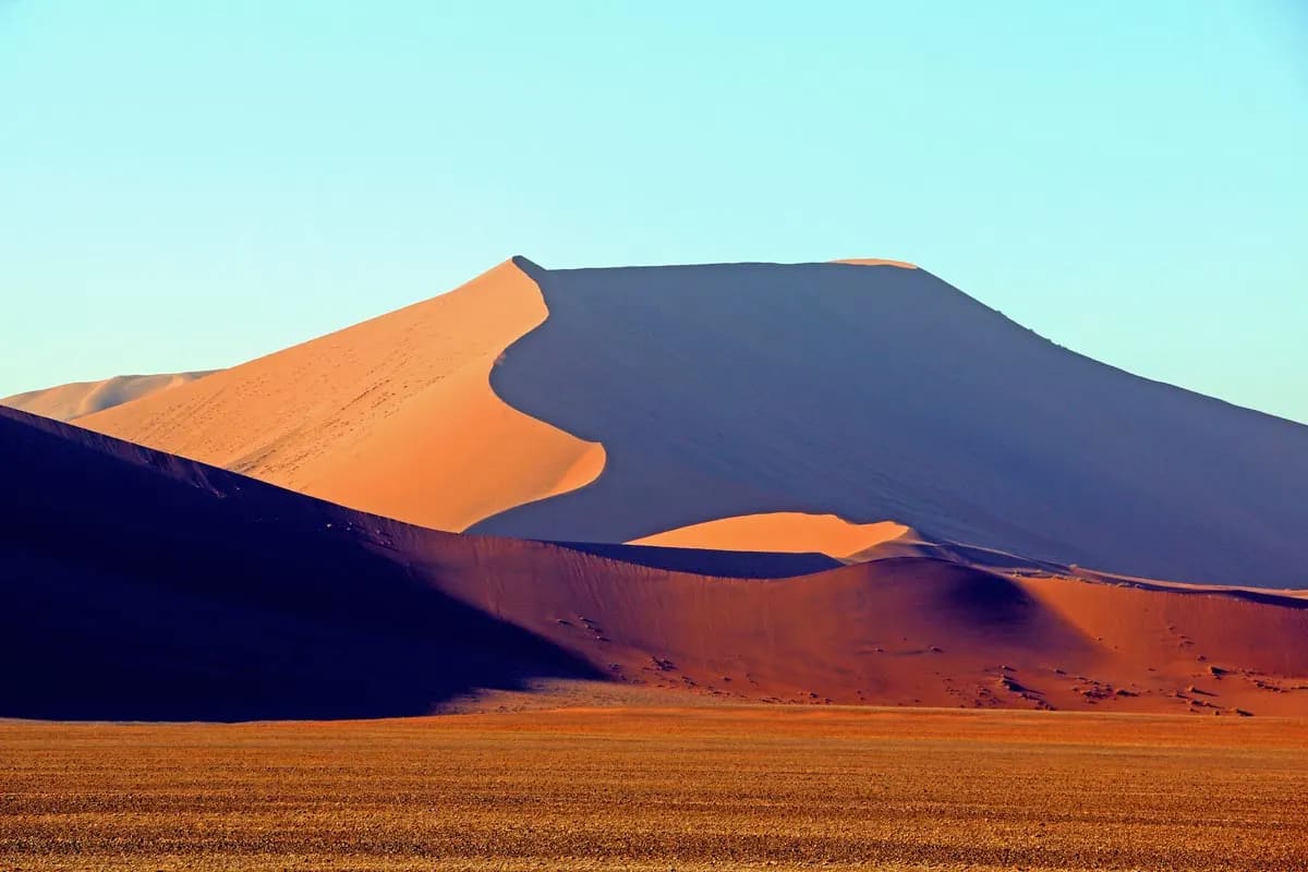 Dune 45