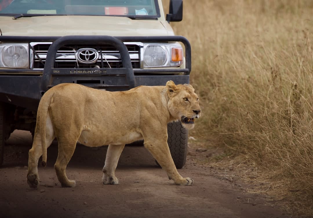 Marine & Coastal Conservation in Tanzania: 2026 Guide
