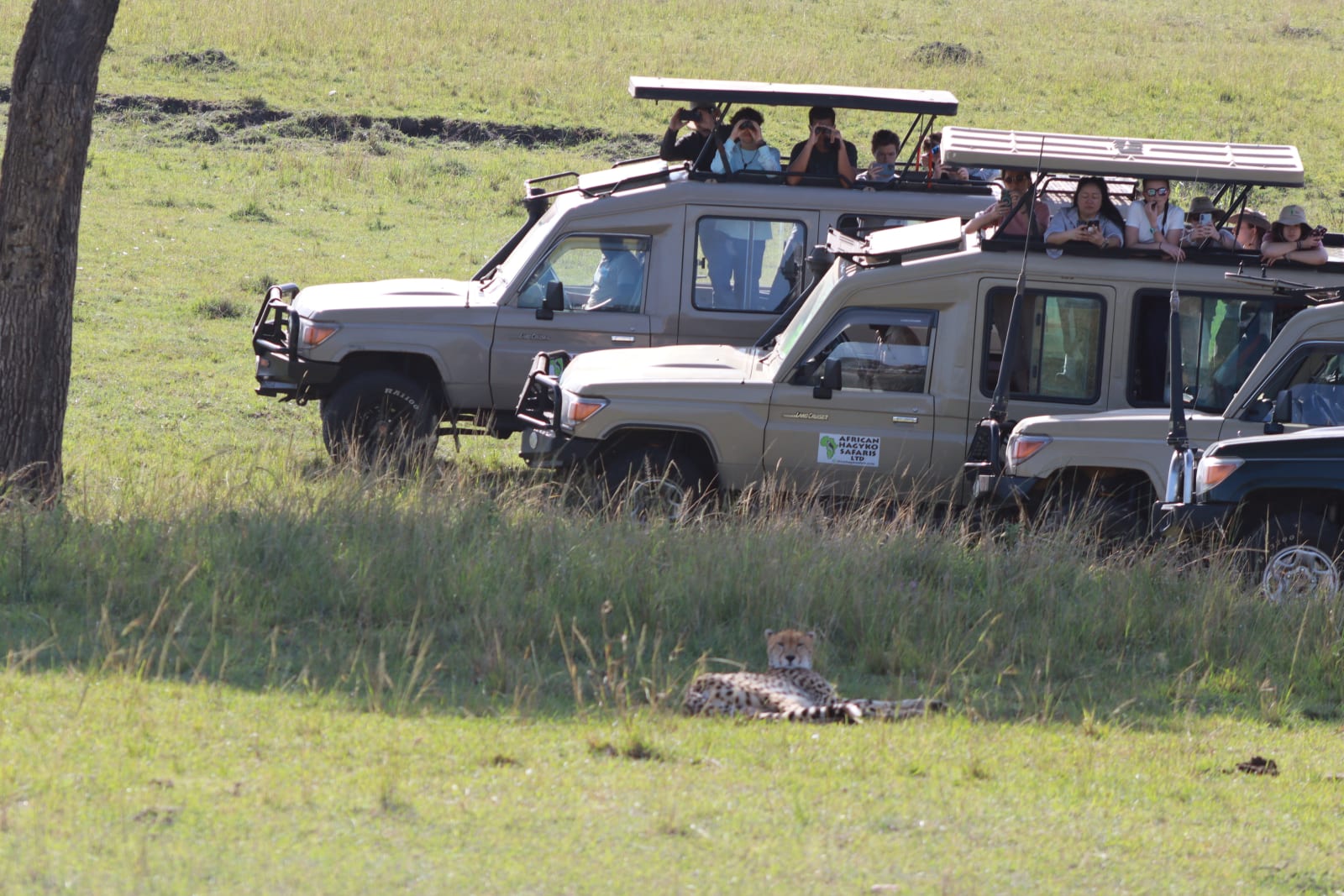 5-Day Lake Naivasha, Hell's Gate National Park, Masai Mara NR & Lake Nakuru NP Mid RangeTour