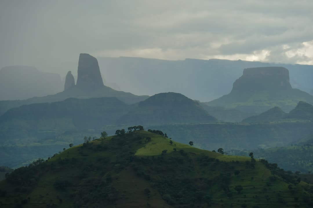 Tana Lake Ethiopia Safari: 6 Boat Trips to Compare in 2026