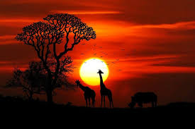11-Day of Wild Wonders & Coastal Bliss in Kenya