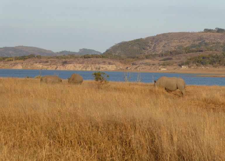 Mutirikwi Beach