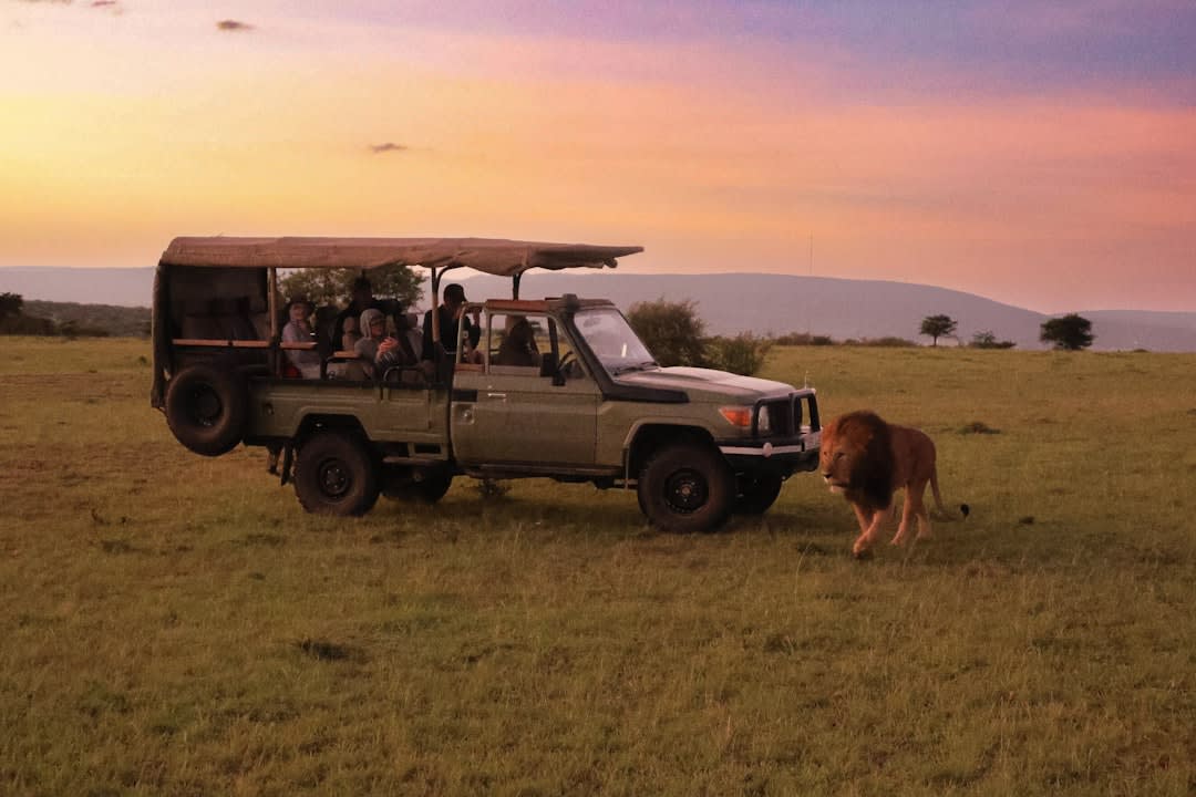 Maasai Mara in 5 Days: 2027 Safari Itinerary Cost Breakdown