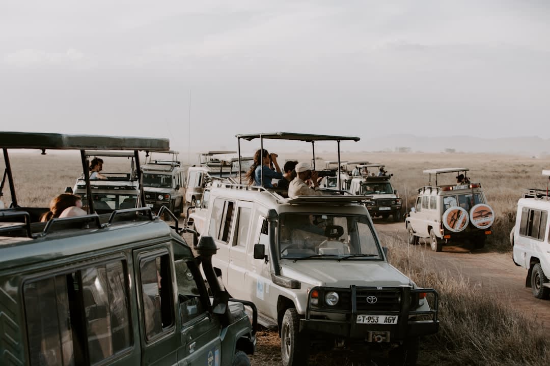 Where to Stay in Tanzania for Safari: 2027 Lodge Prices