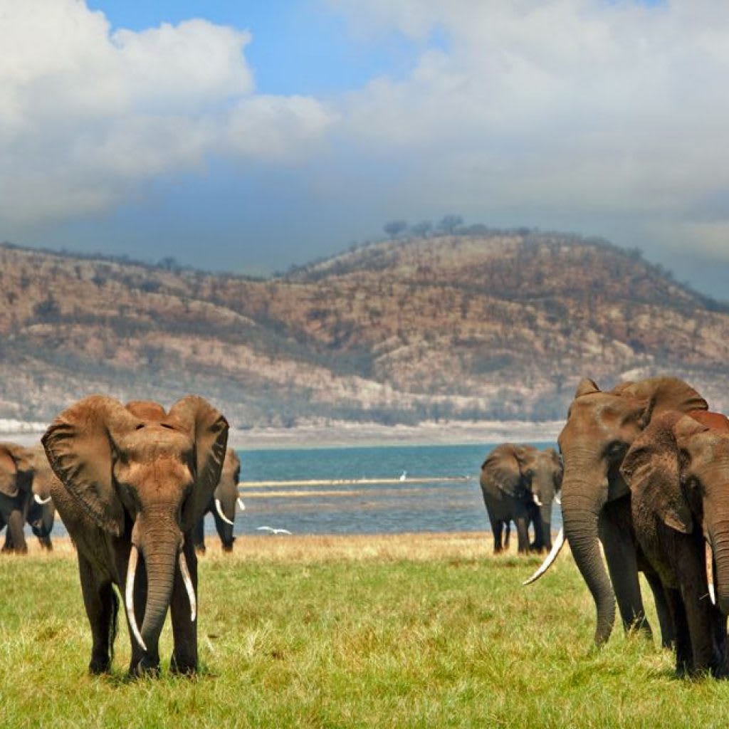 Kariba Gorge