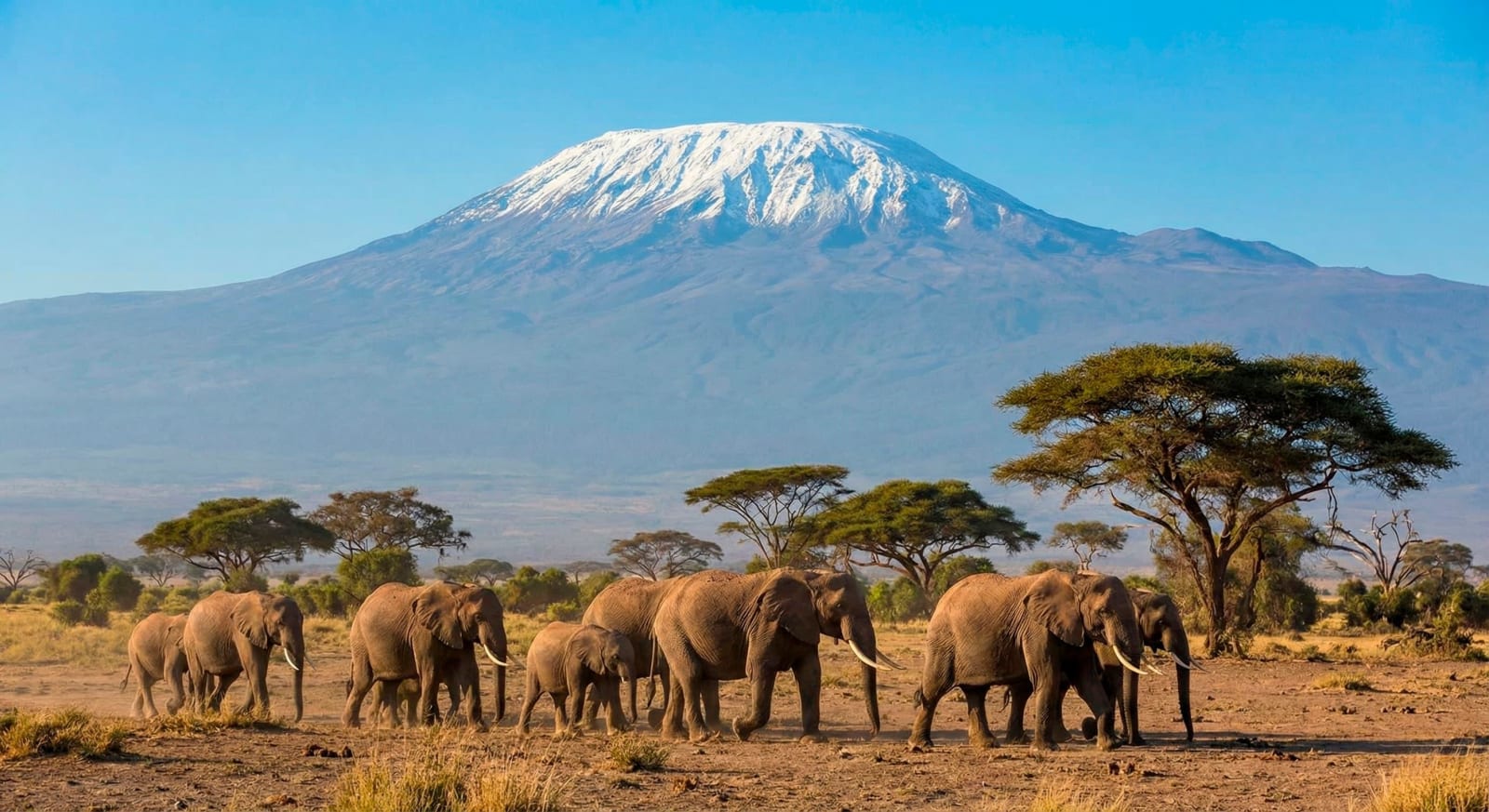 5天肯尼亚 Amboseli、Naivasha 和 Maasai Mara 野生动物之旅