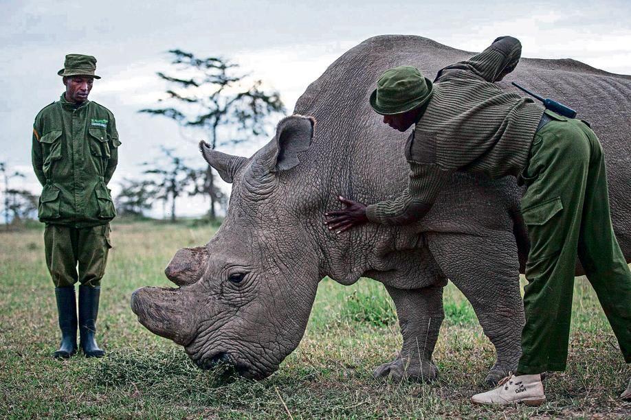 5天肯尼亚奥尔佩杰塔至Maasai Mara野生动物 safari